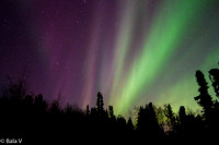 Northern Lights